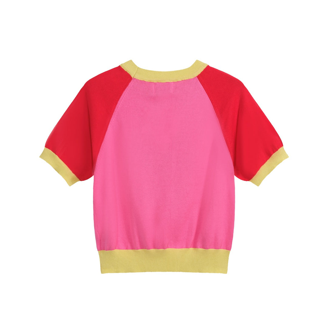 Women’s Pink Strawberry Knit Tee – Retro Colorblock Fruit Top-Cropped Length