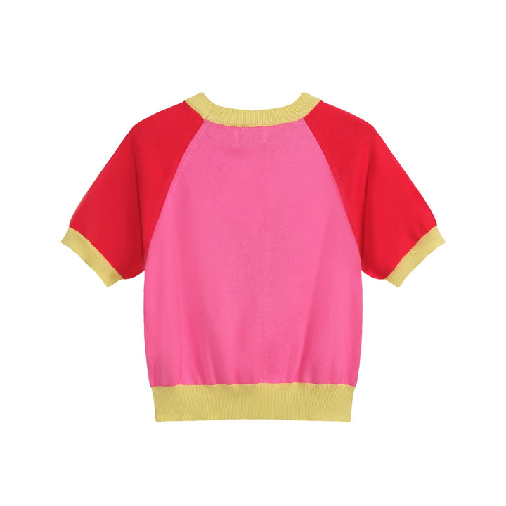 Women’s Pink Strawberry Knit Tee – Retro Colorblock Fruit Top-Cropped Length