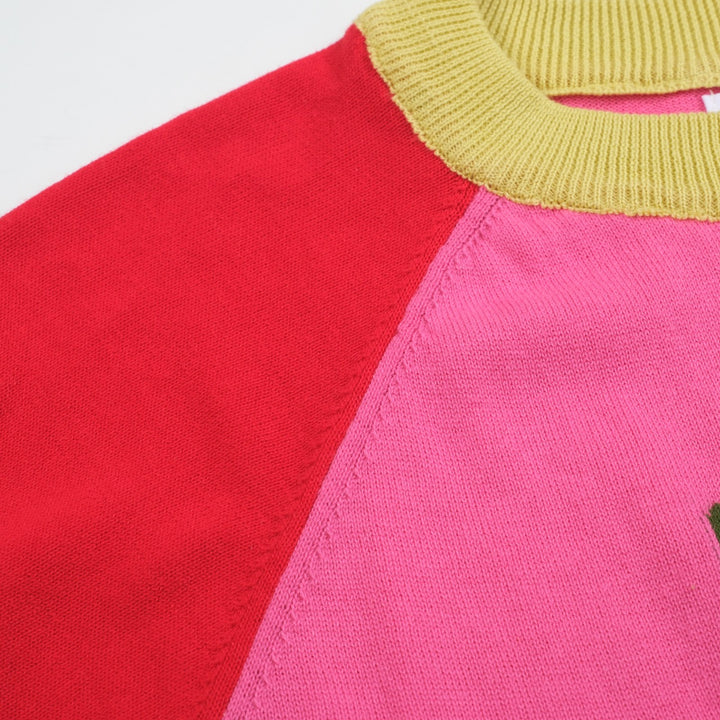 Women’s Pink Strawberry Knit Tee – Retro Colorblock Fruit Top-Cropped Length