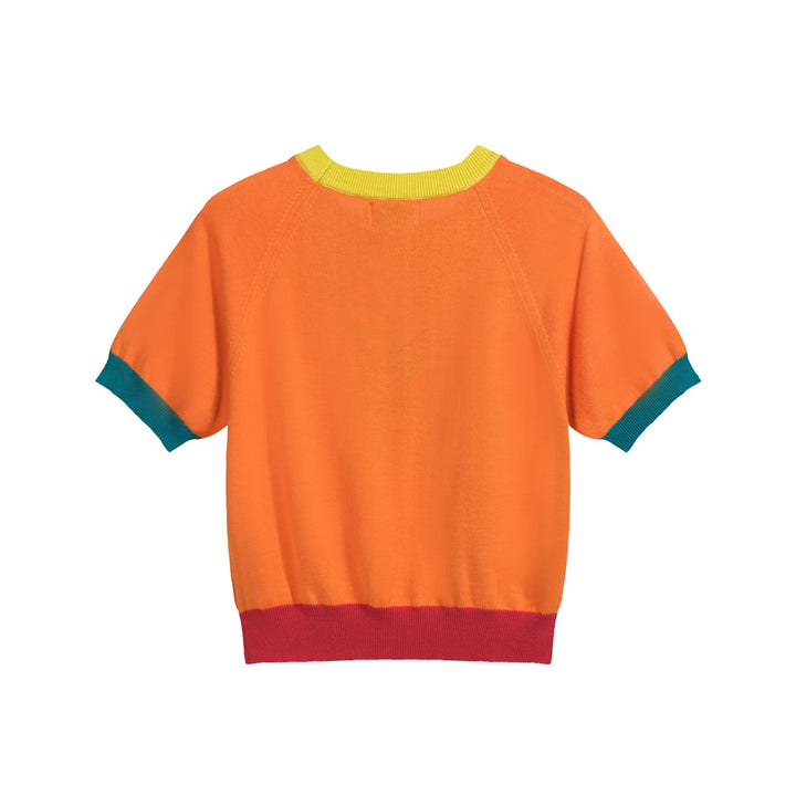 Women’s Orange Knit Tee – French Bulldog Graphic Colorblock Top-Cropped Length
