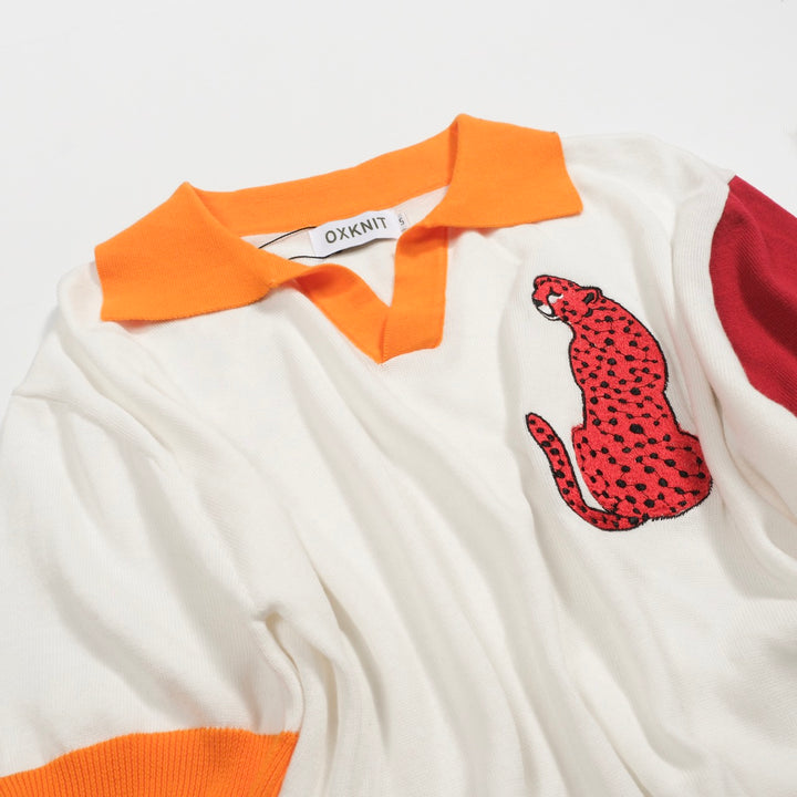 Tricot à col en V multicolores pour hommes