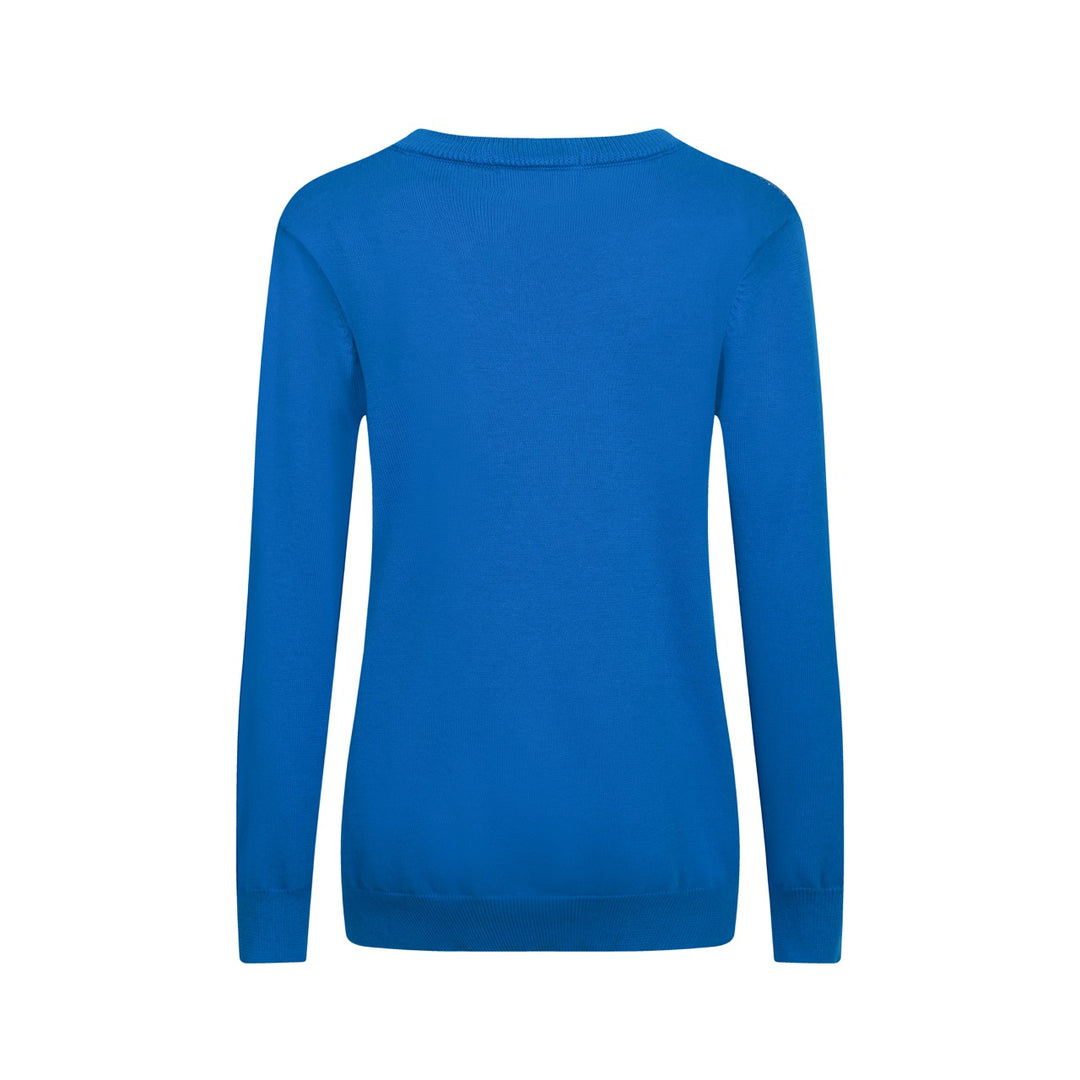 Kvinnors stickade plagg i blått fågeldjur i jacquard