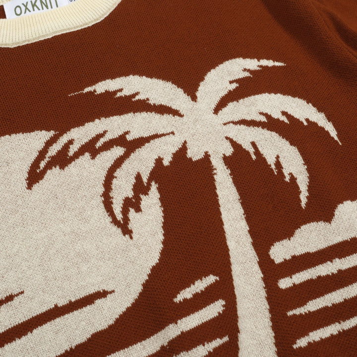 Men's brown coconut jacquard vintage casual knitwear