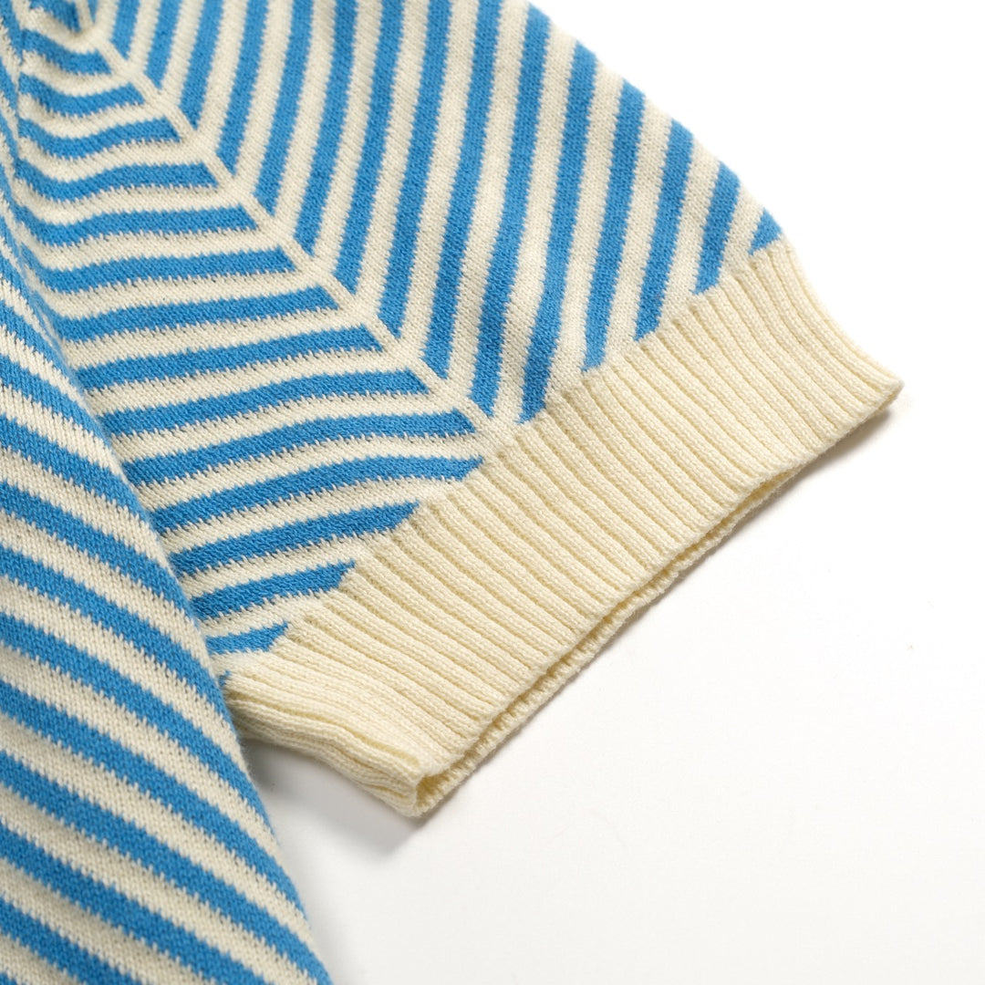 Heren Blauwe Vintage Art Jacquard Polo Gebreid Shirt