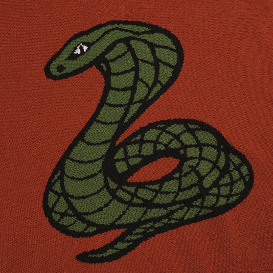 Maglieria uomo scollo a V jacquard serpente arancione