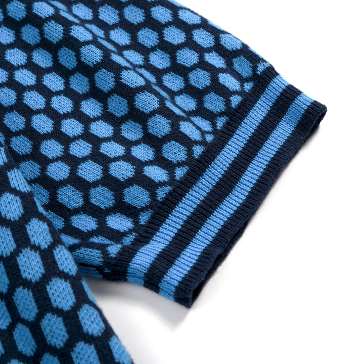 Herren Blaues Minimalistisches Retro-Karierte Jacquard Polo Strickhemd