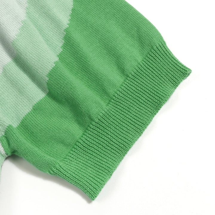 Groen Retro Klassiek Art Jacquard Gebreid Vest voor Heren