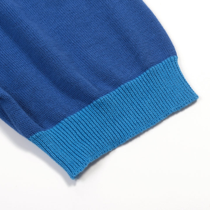 Heren blauwe vintage gebreide polo met dierenborduursel en V-hals