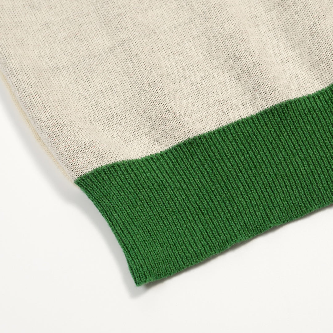 Heren groene plant Kolibrie gebreide V-hals polo