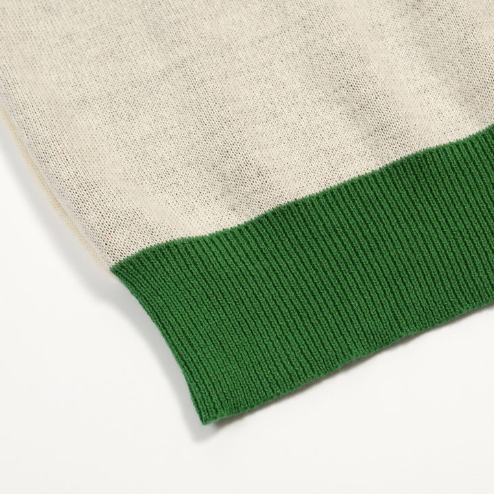 Heren groene plant Kolibrie gebreide V-hals polo