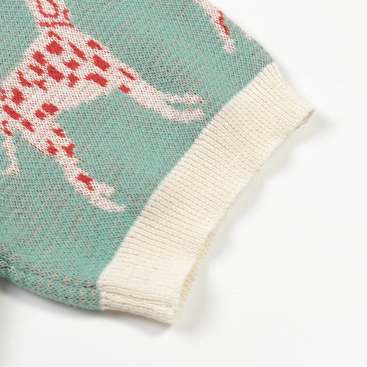 Maglietta Verde da Donna con Cane Retrò Divertente in Maglia Jacquard