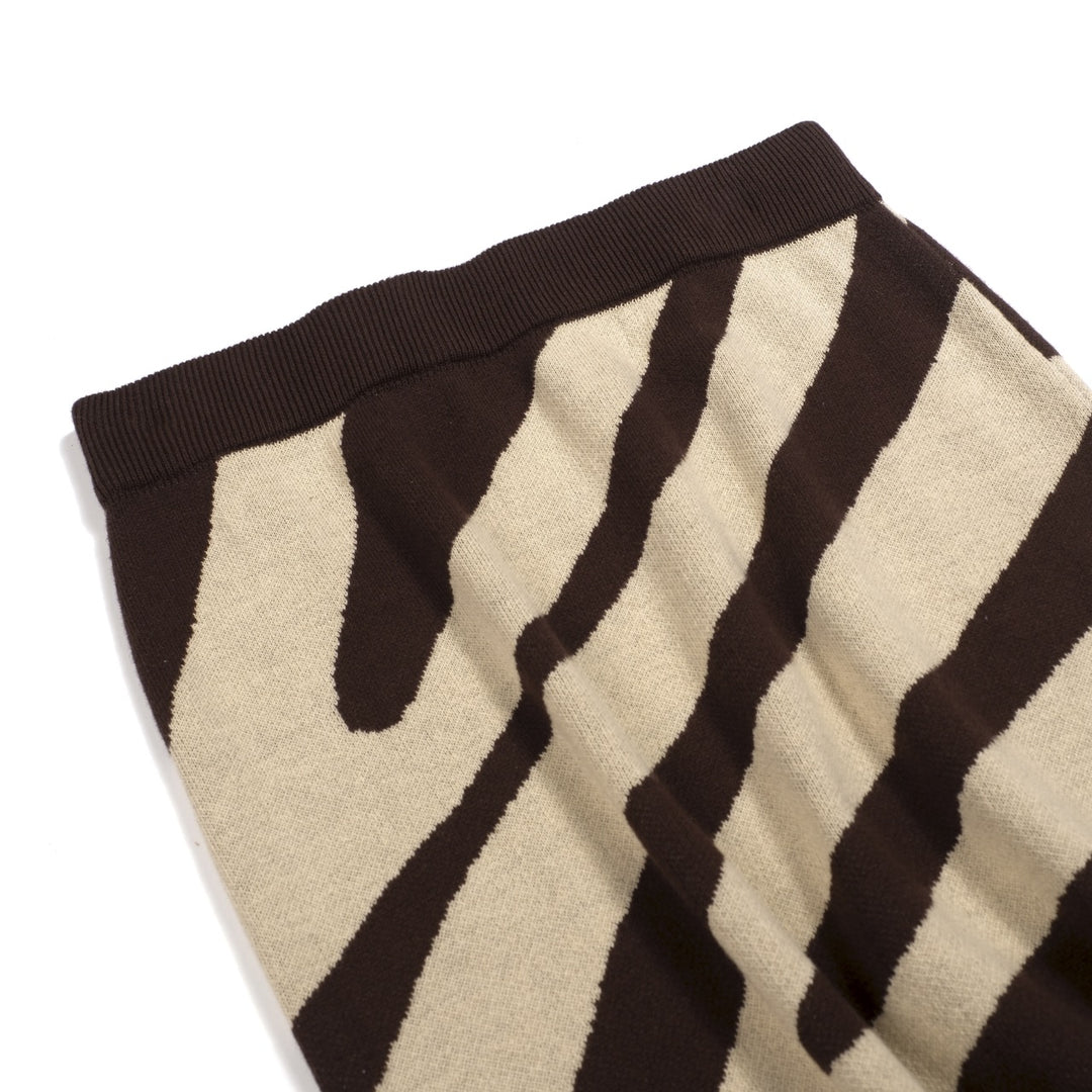 Women's Zebra Print Retro Dress Set