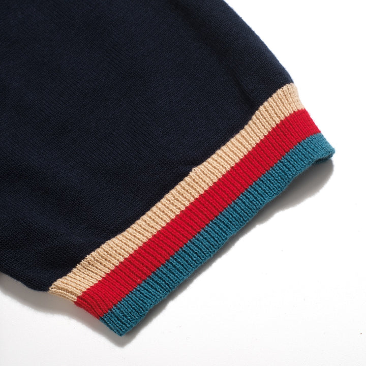Men's Dark Blue Vintage Insect Embroidery Polo Knit Shirt