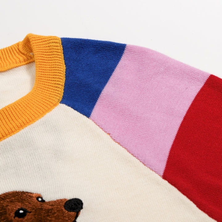 Women's Colorful Striped Dog Embroidered Knit Sweater - Cropped Length