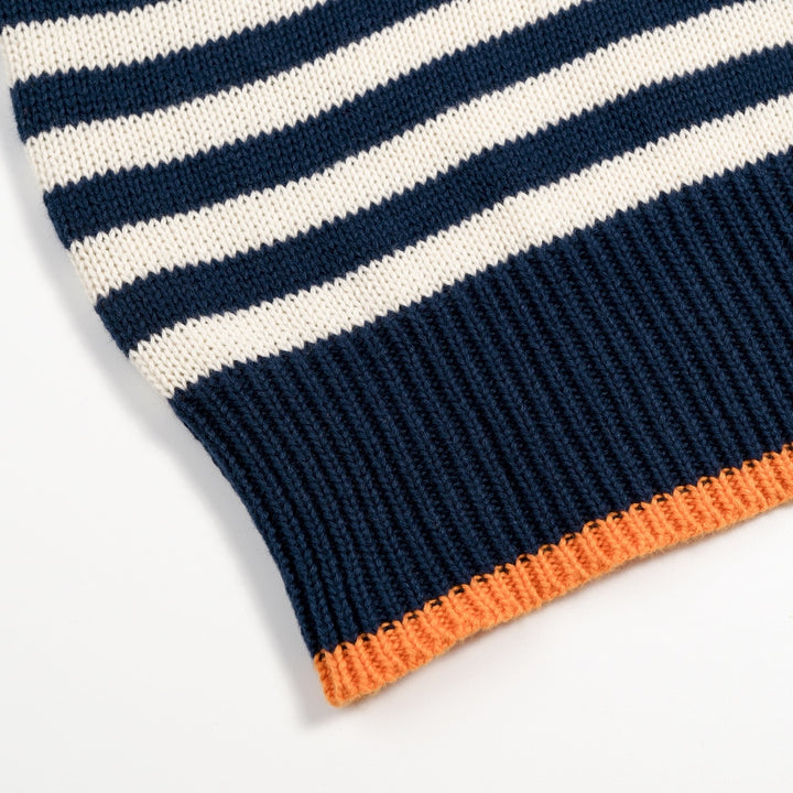 Men's Vintage Collegiate Stripe Fox Embroidered Knit