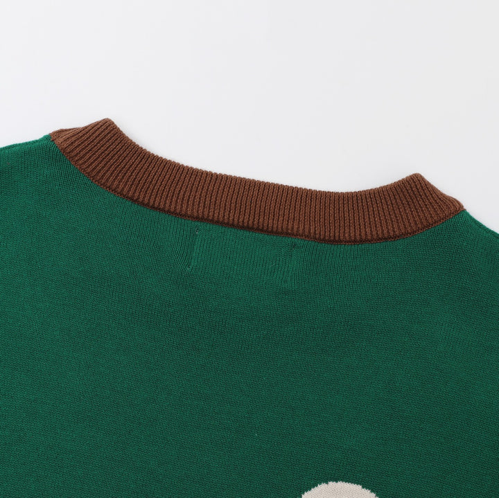 Dame 70'er Retro Grøn Vaskebjørn Broderet Striktrøje